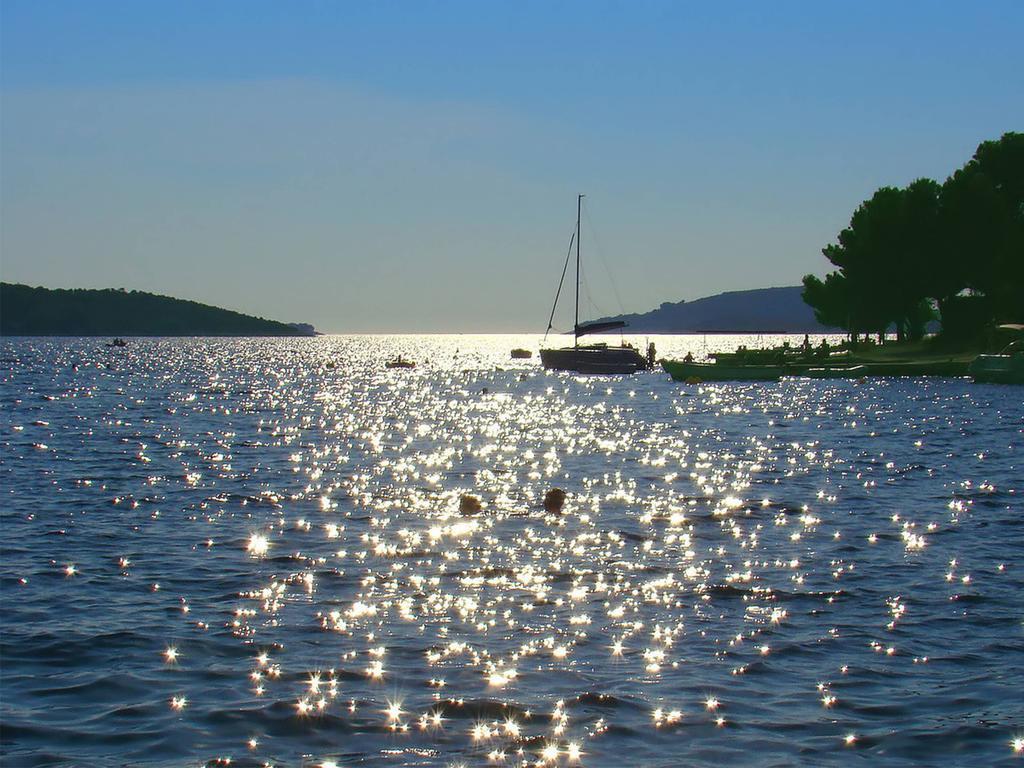 Charming Seaside Apartments Noa & Jakov, Zaboric Sibenik 外观 照片